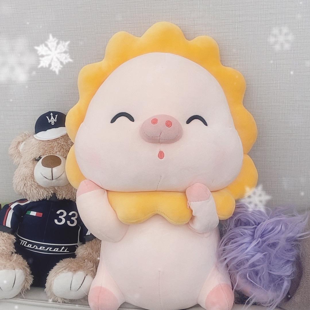 木贝贝