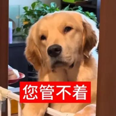 栀峪（丘神纪老婆版