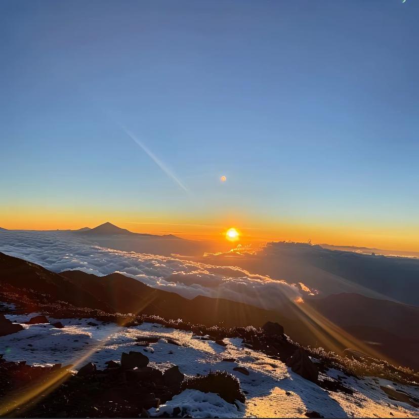 多多斯沃特#白熊