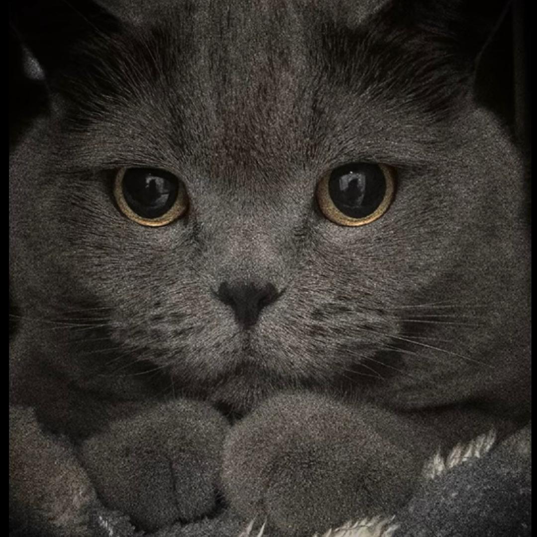 睡不饱.