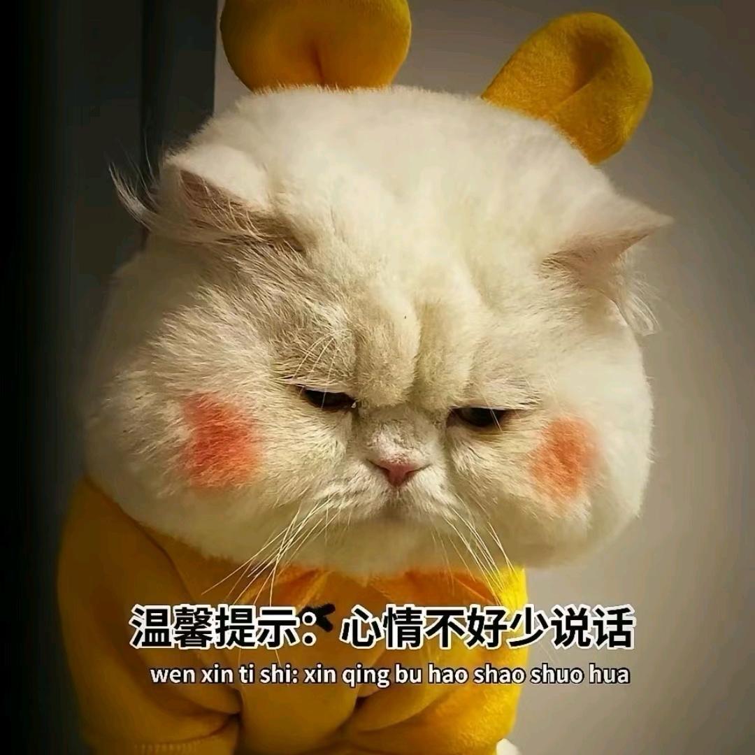 笨笨