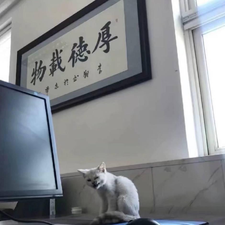 只能靠自己