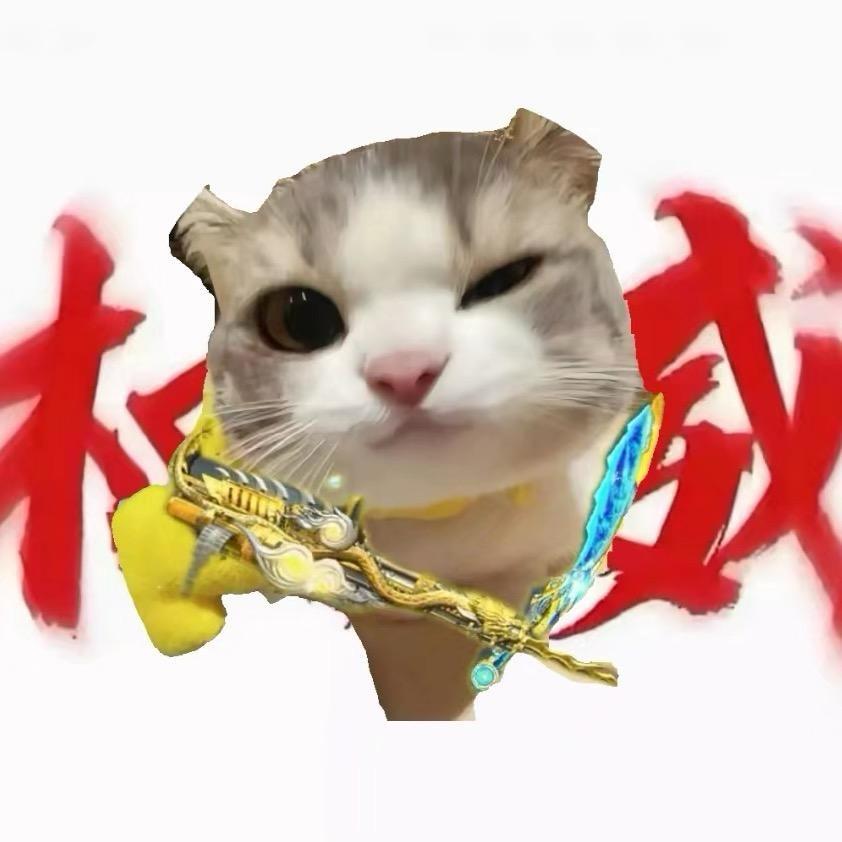 CFM—小猫