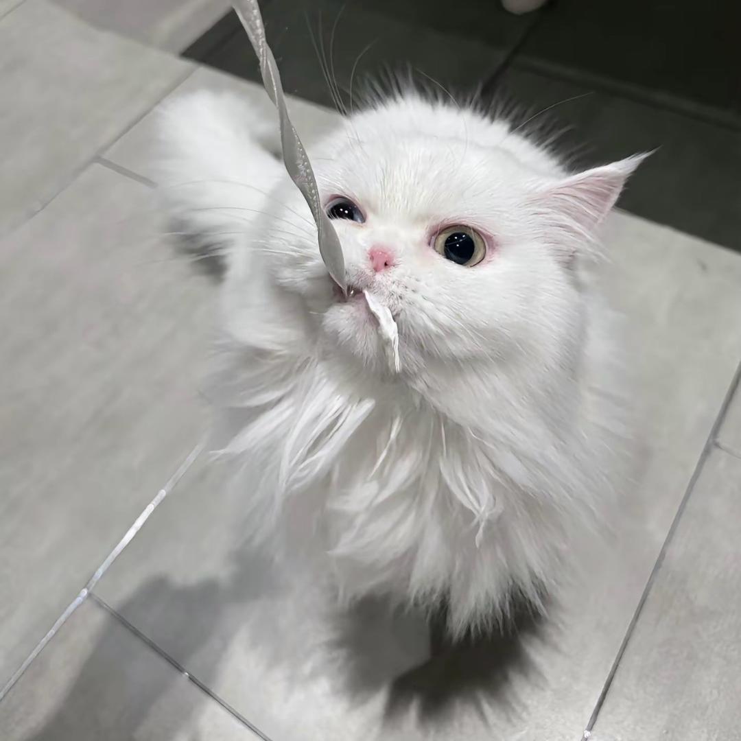 今天写实验报告了吗