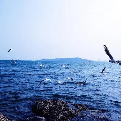 暖暖的阳光☀️