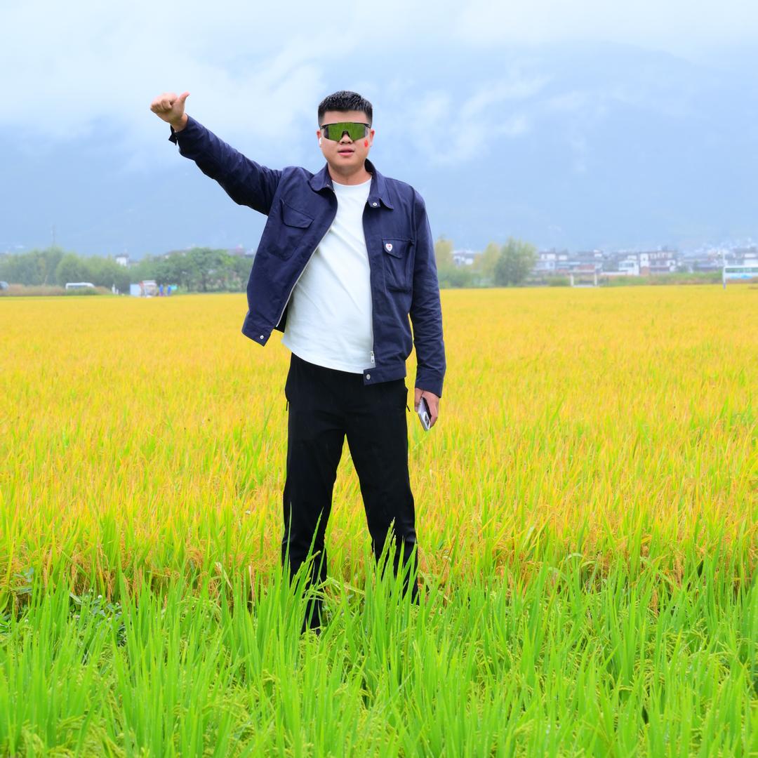 平顶山柒号车行（赵岩）