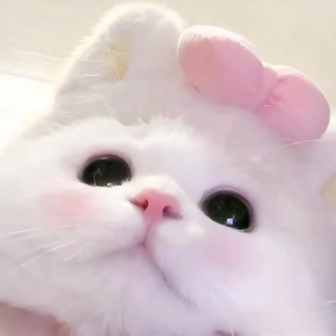 Sweet Candy盲勺版