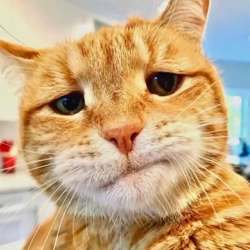 🙏🙏🙏李拜天