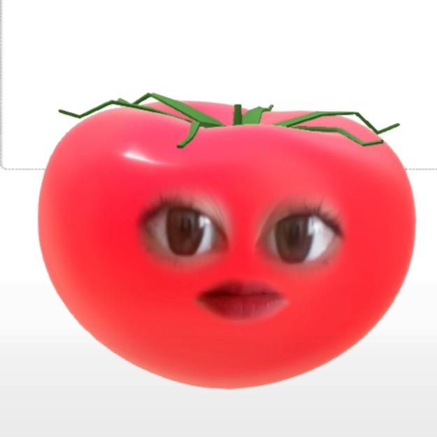 🍅TOMATO