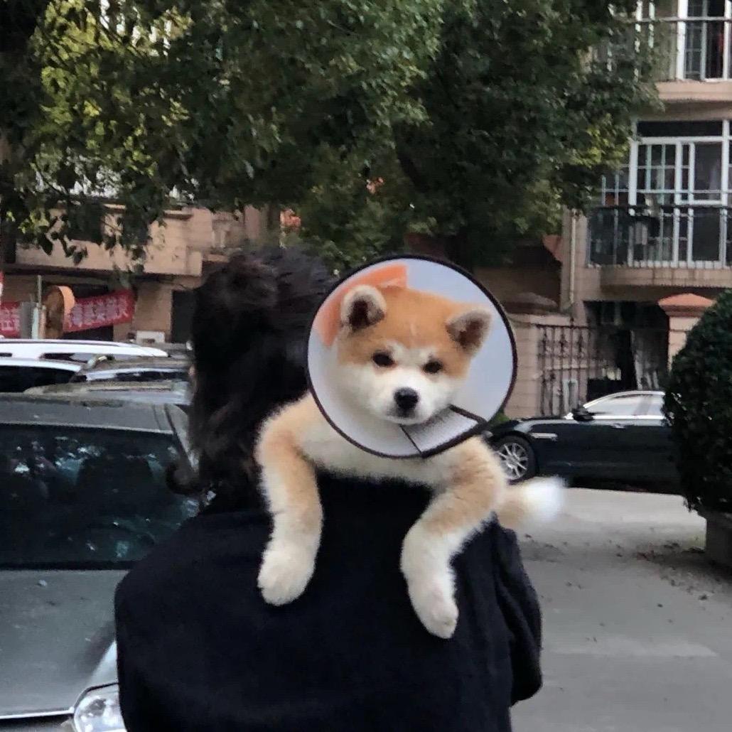 我能吃两锅饭、