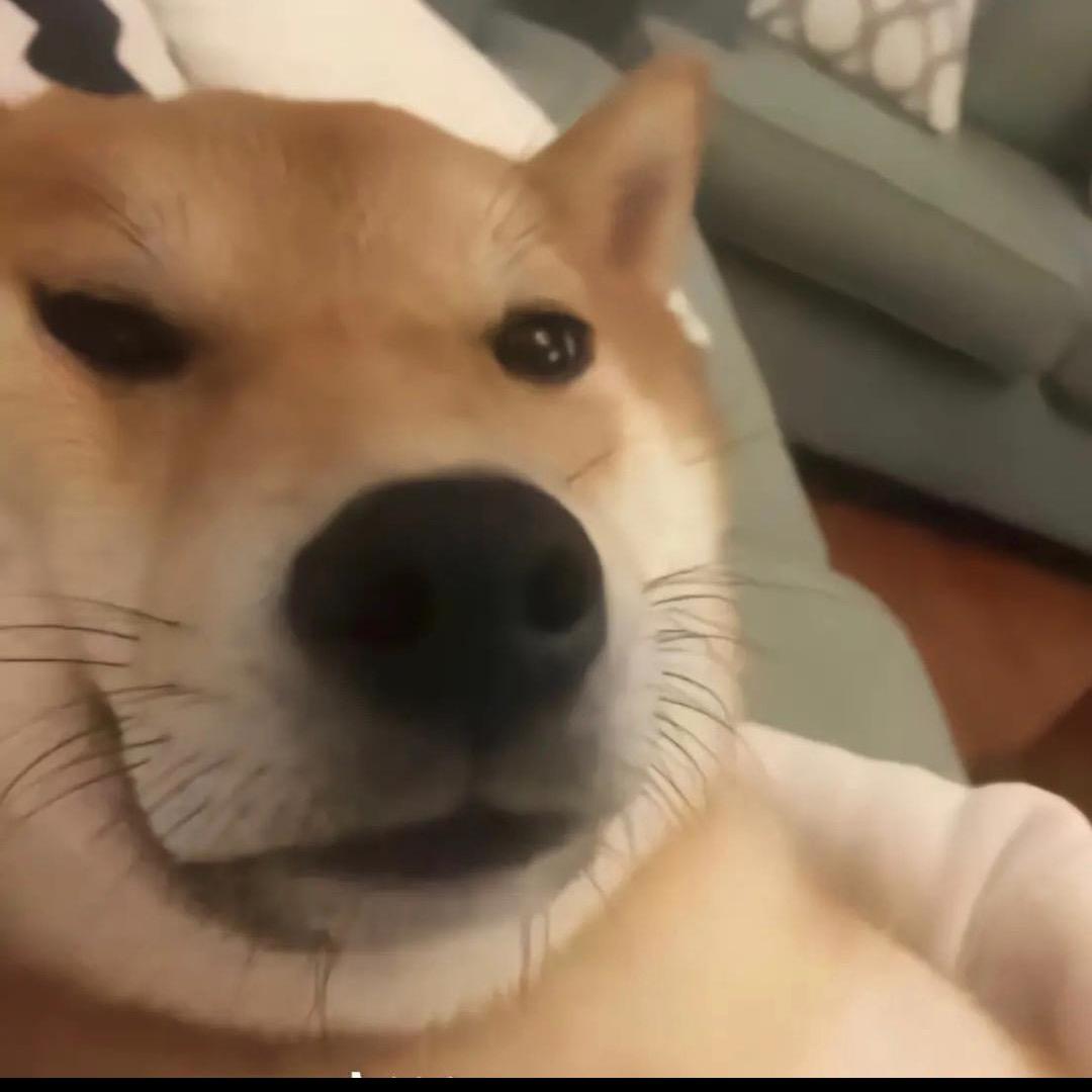 Yao-