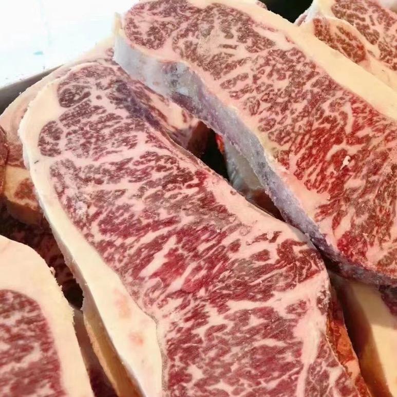 白老町牛