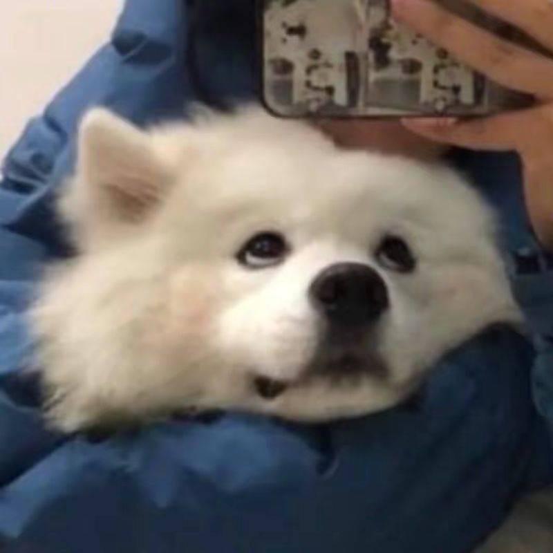 巴扎黑的哲学