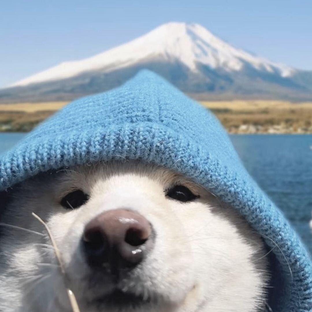 睡个好觉.