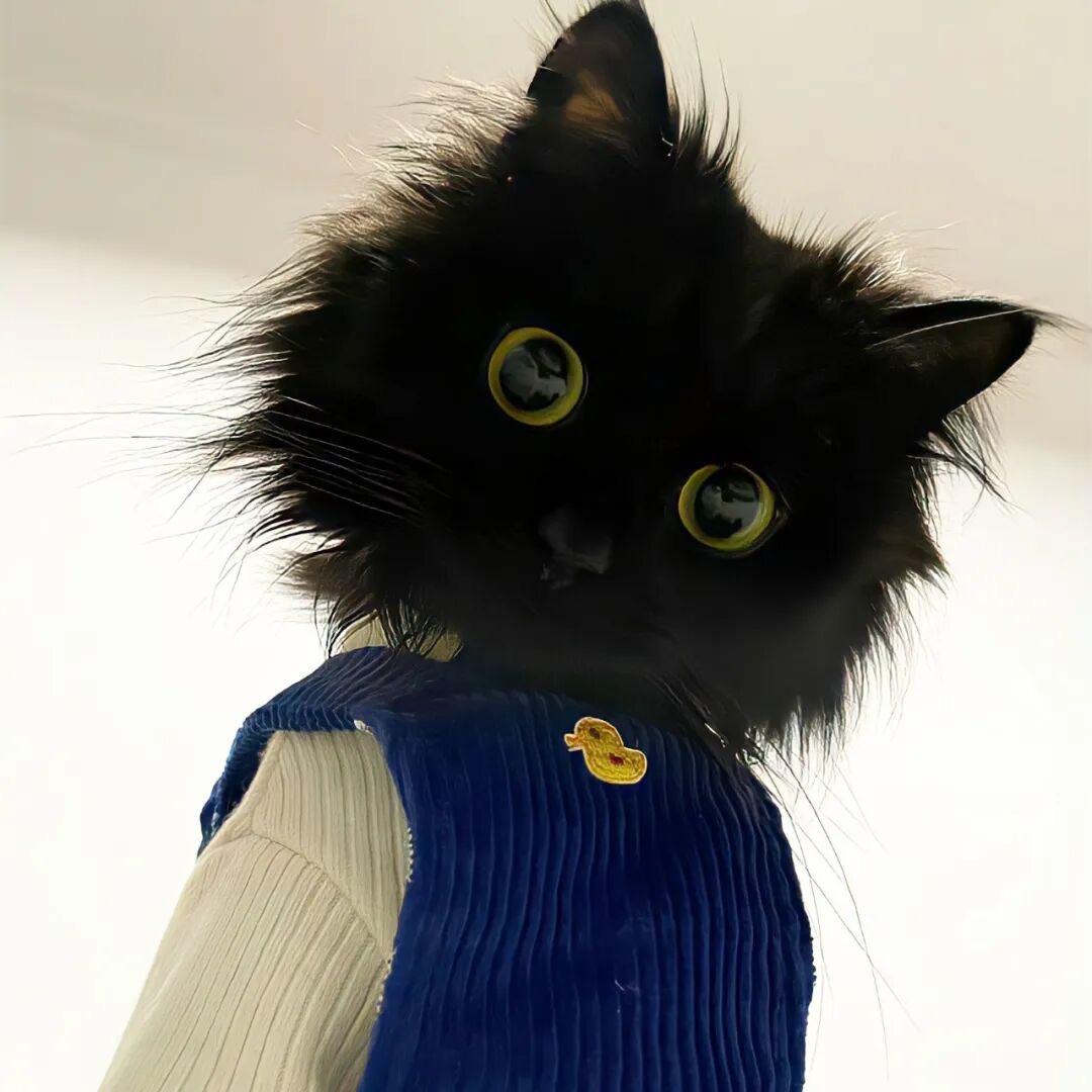 长毛沾屎戳谁谁死