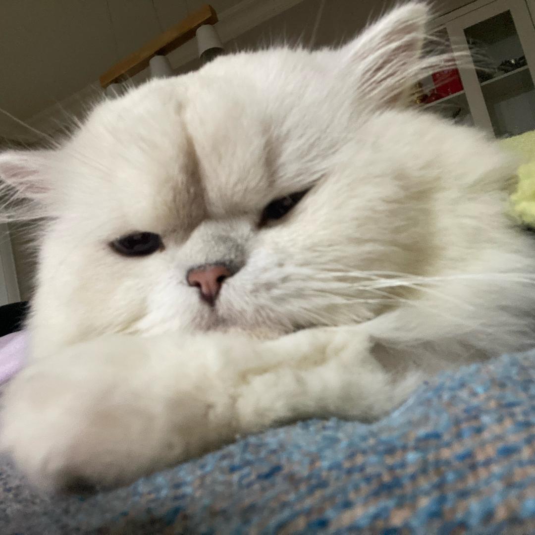 牛奶🥛