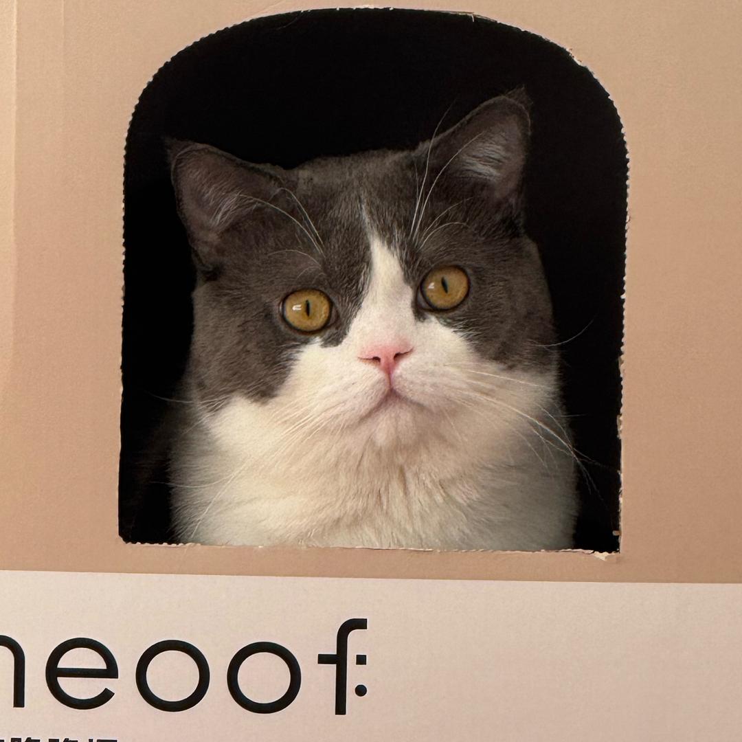 我不看月亮♥️