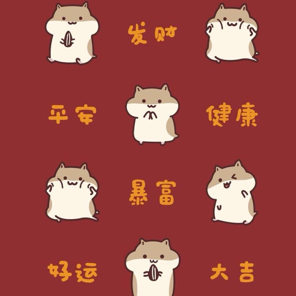 🦅老鹰🦅