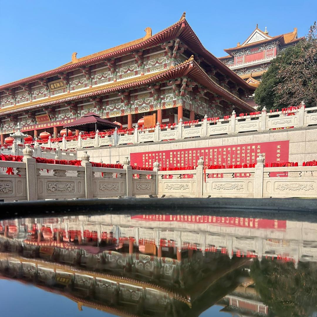 杨哥，，