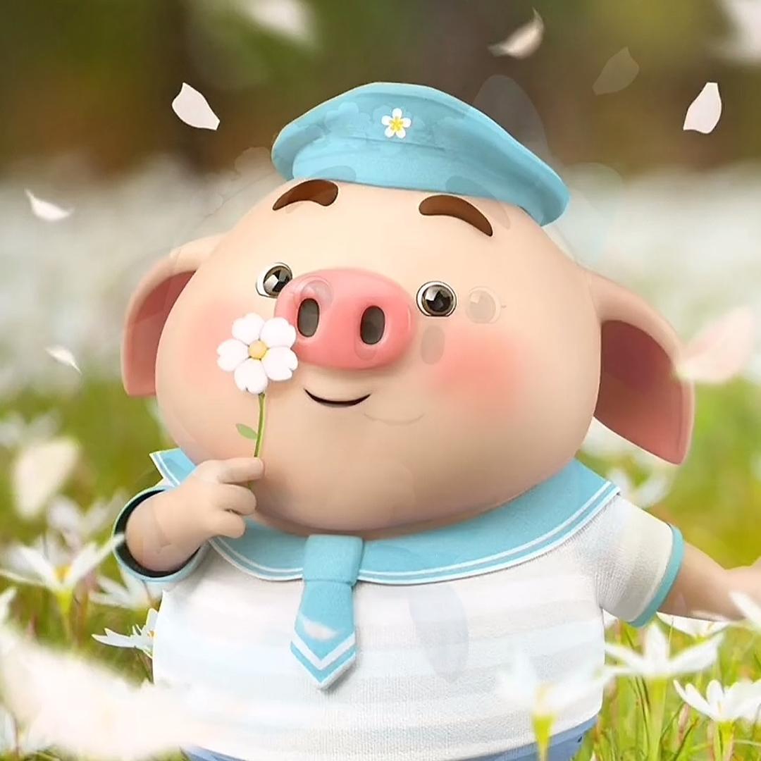 爱种树苗的小李