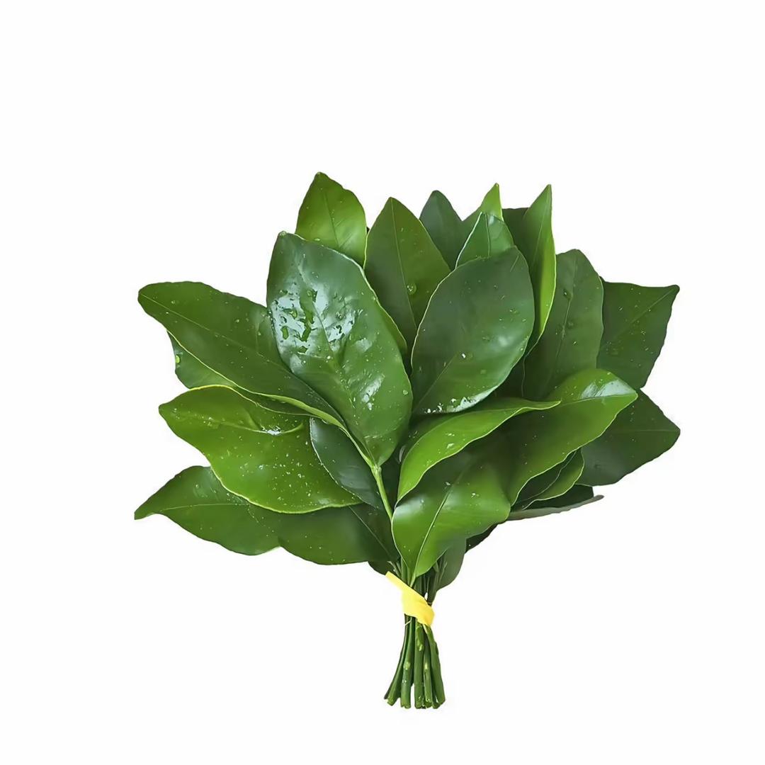 小洪薯🍠