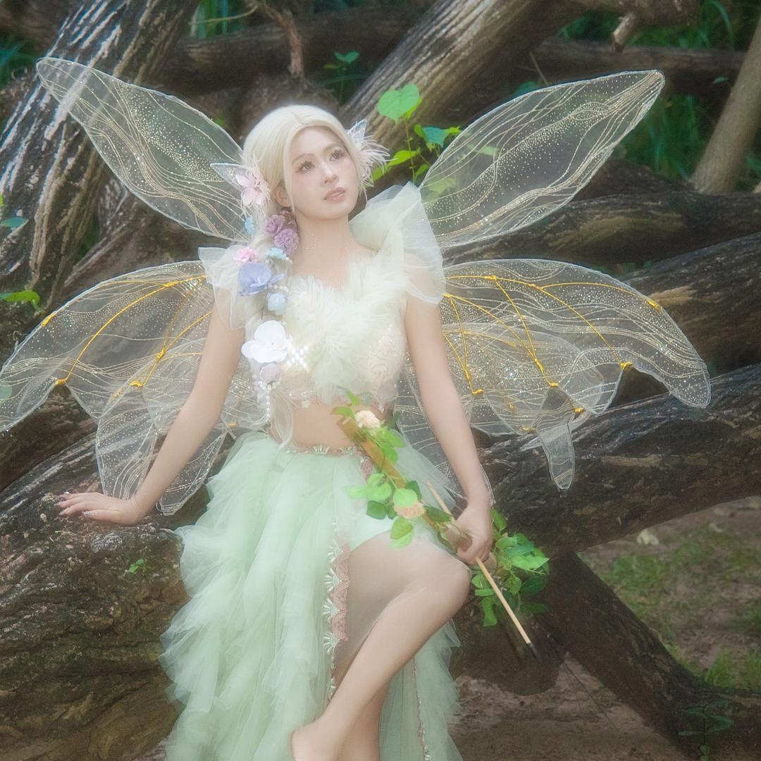 大妖怪（大象308）