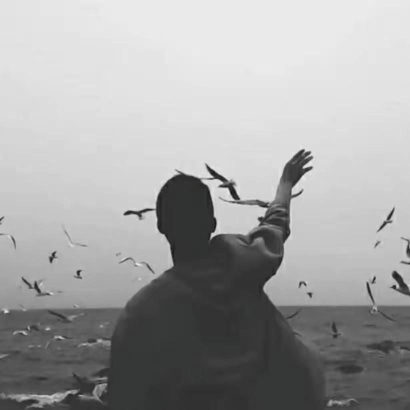 扶老奶奶闯红灯