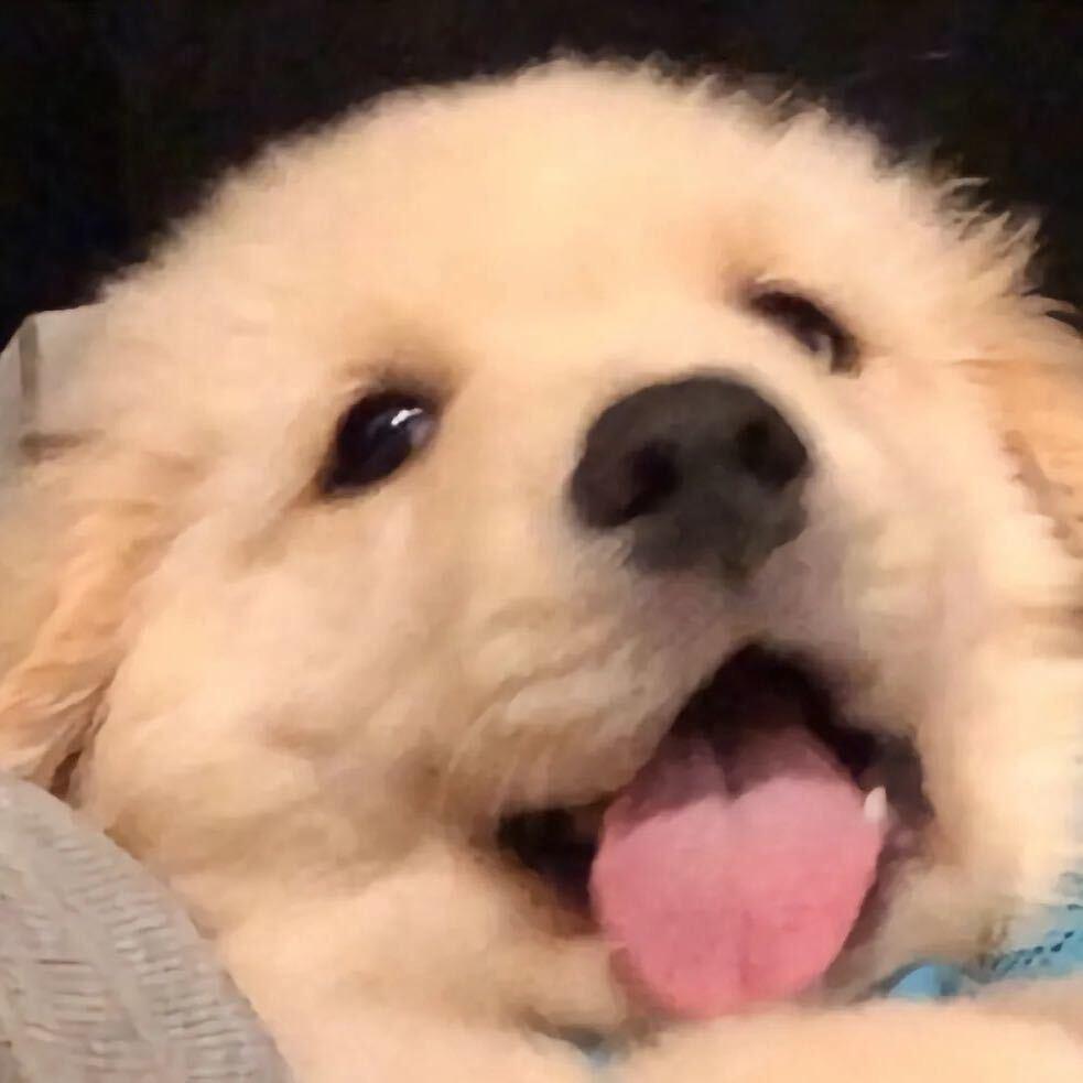 文一个🦷