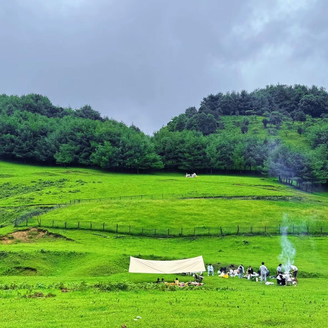 小豆号咖啡直播号