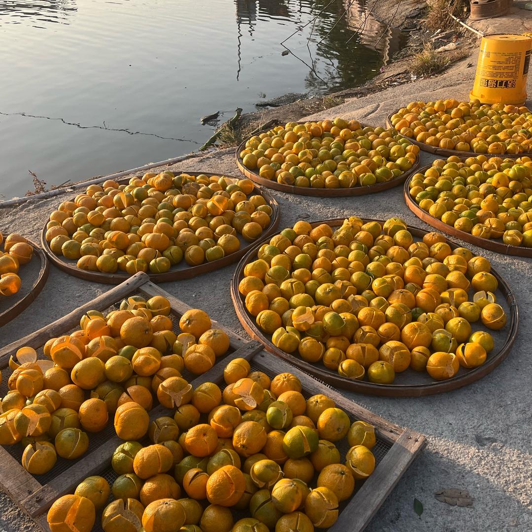 新会陈皮🍊小青柑