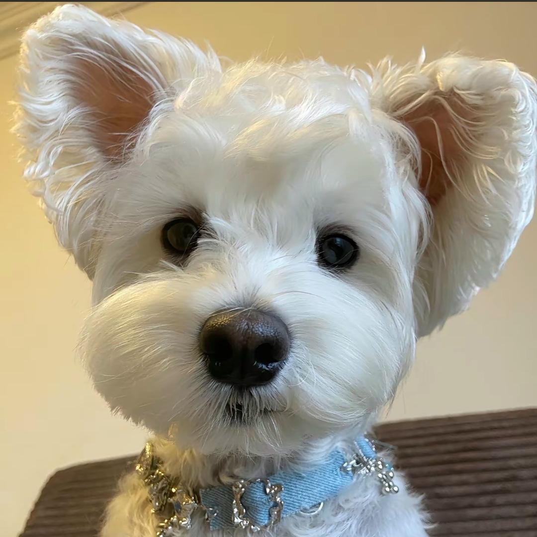 🧸