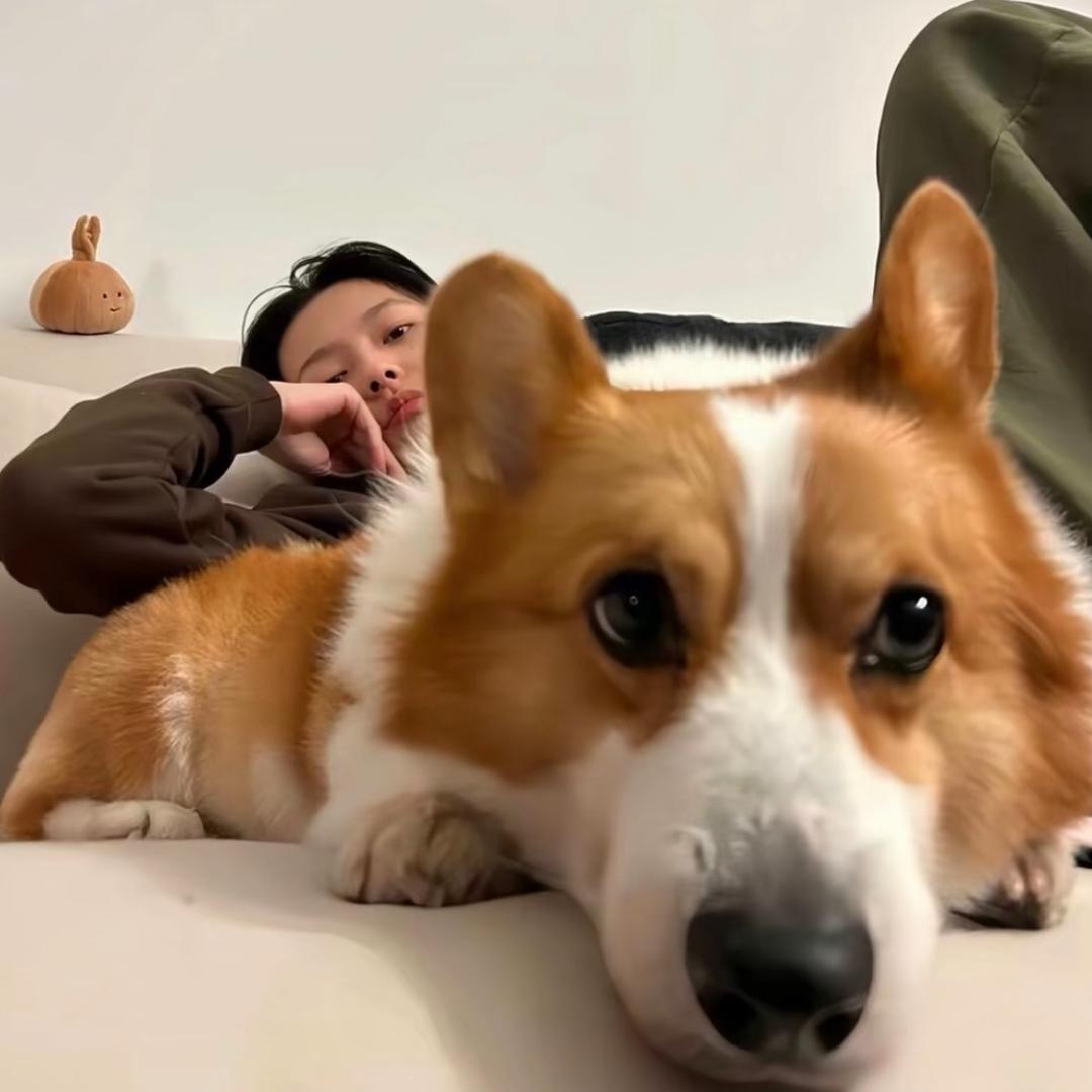 舒予裕