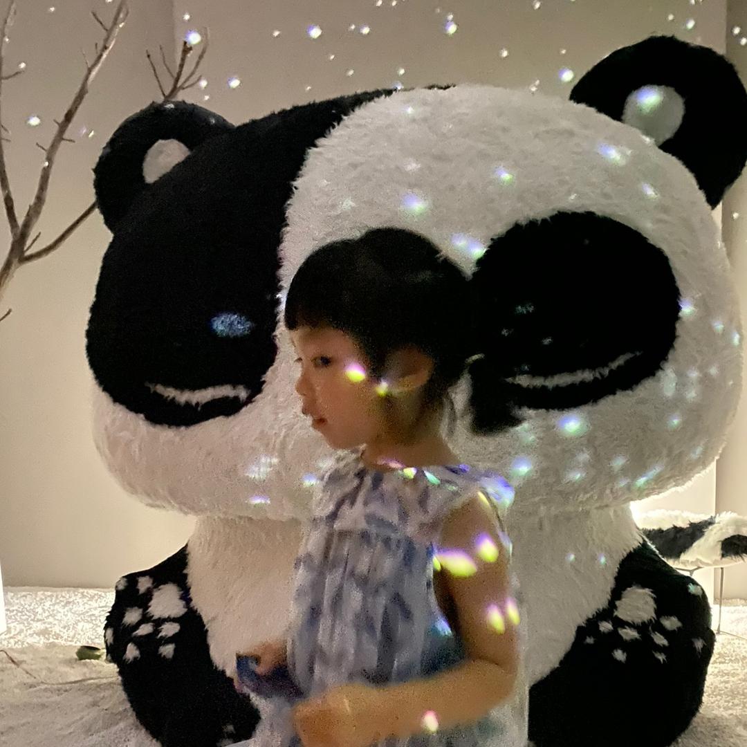 蜗牛🐌