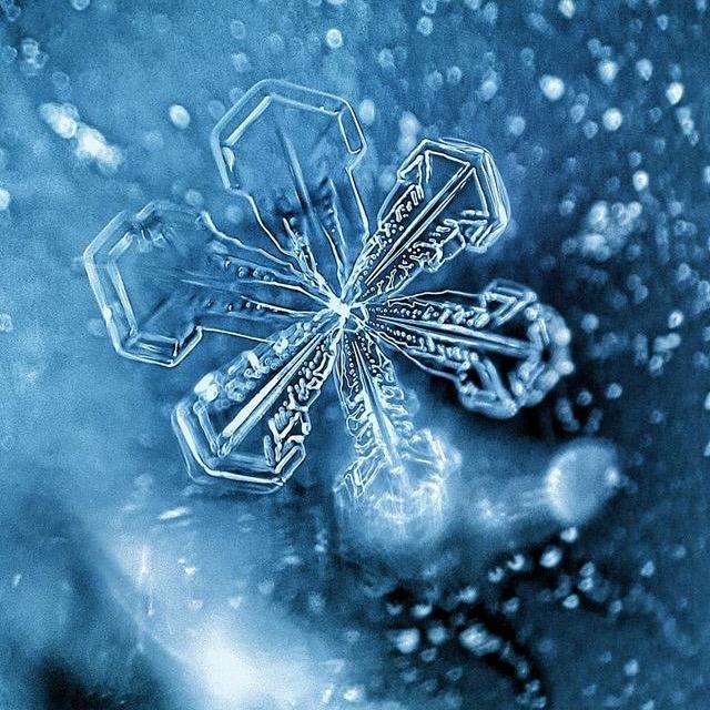 飘雪❄️
