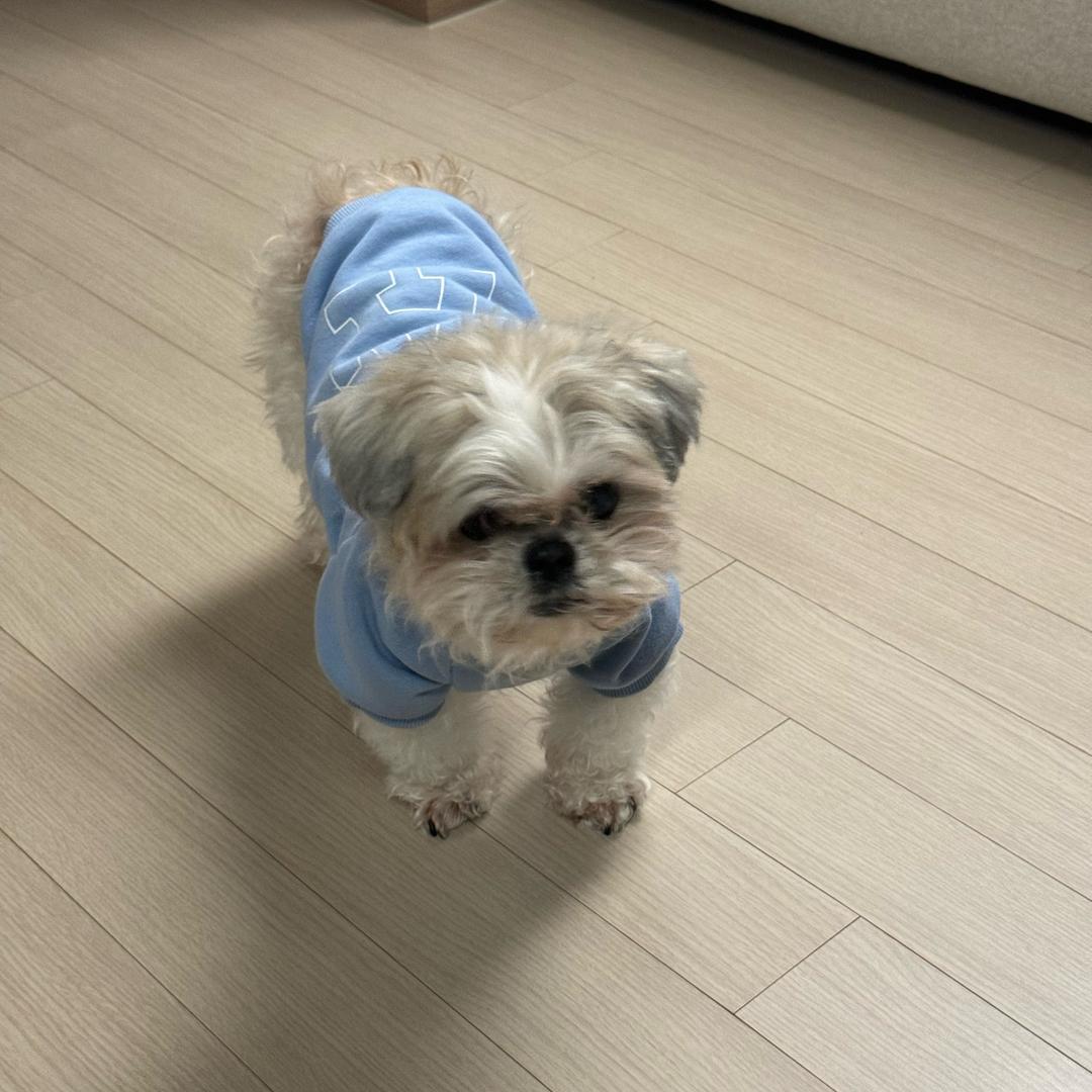 全世界冤种聚合