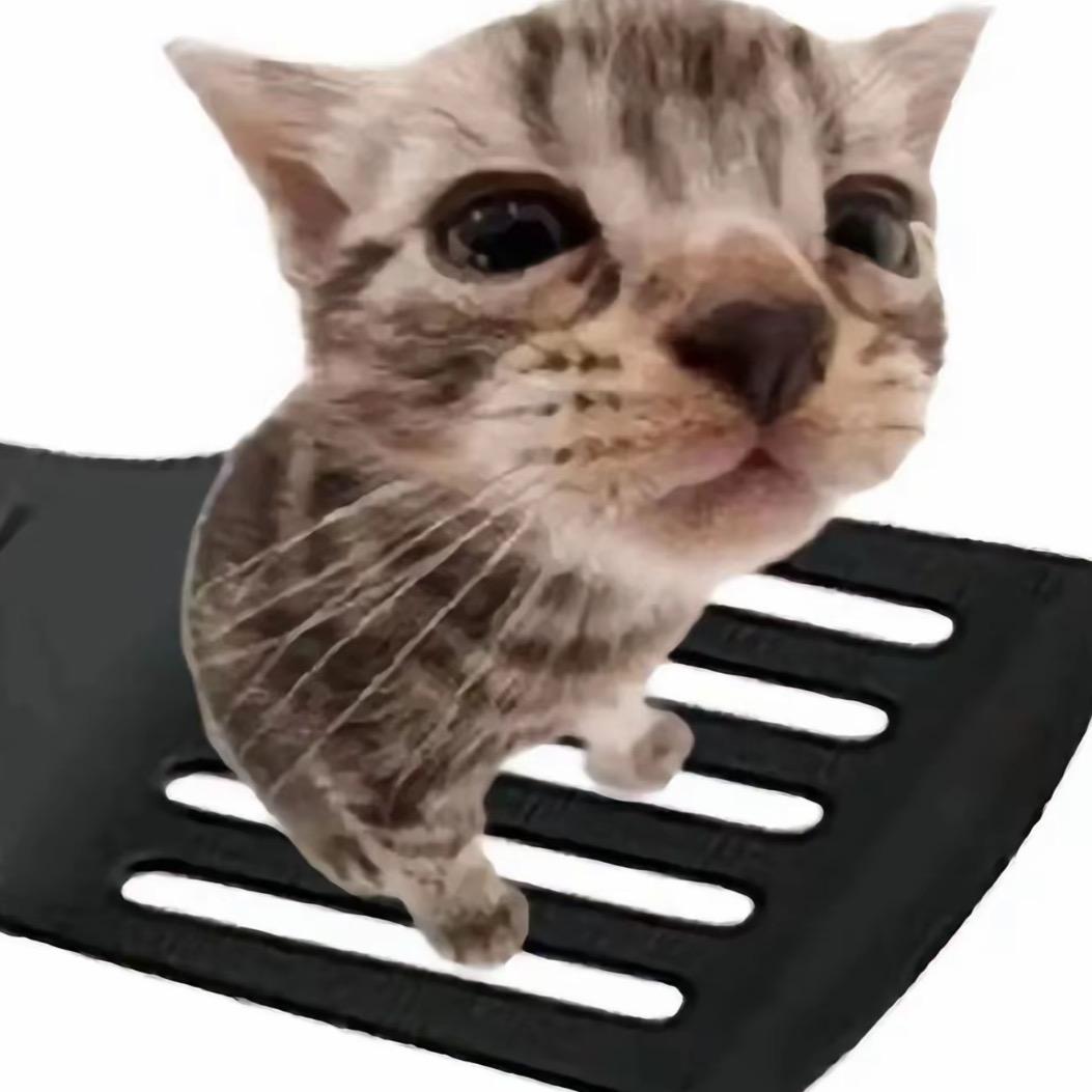 (>_<)。