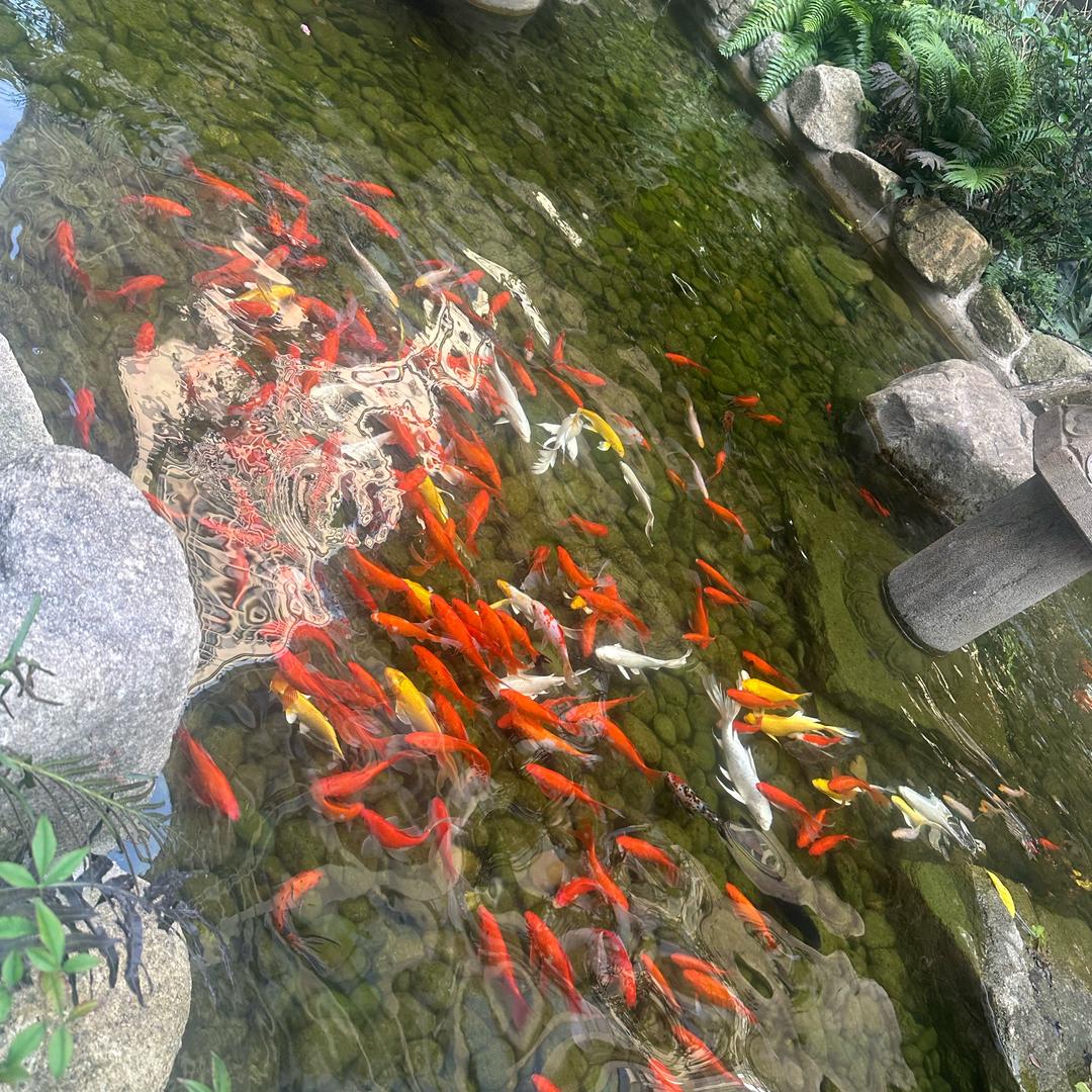 雨后彩虹