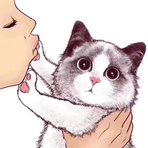 圆圆的🐈喵