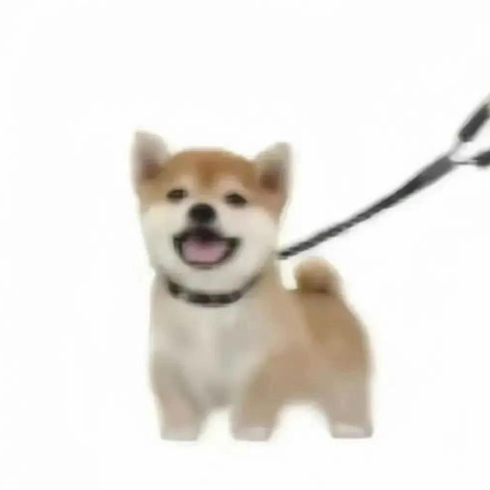 方哈哈