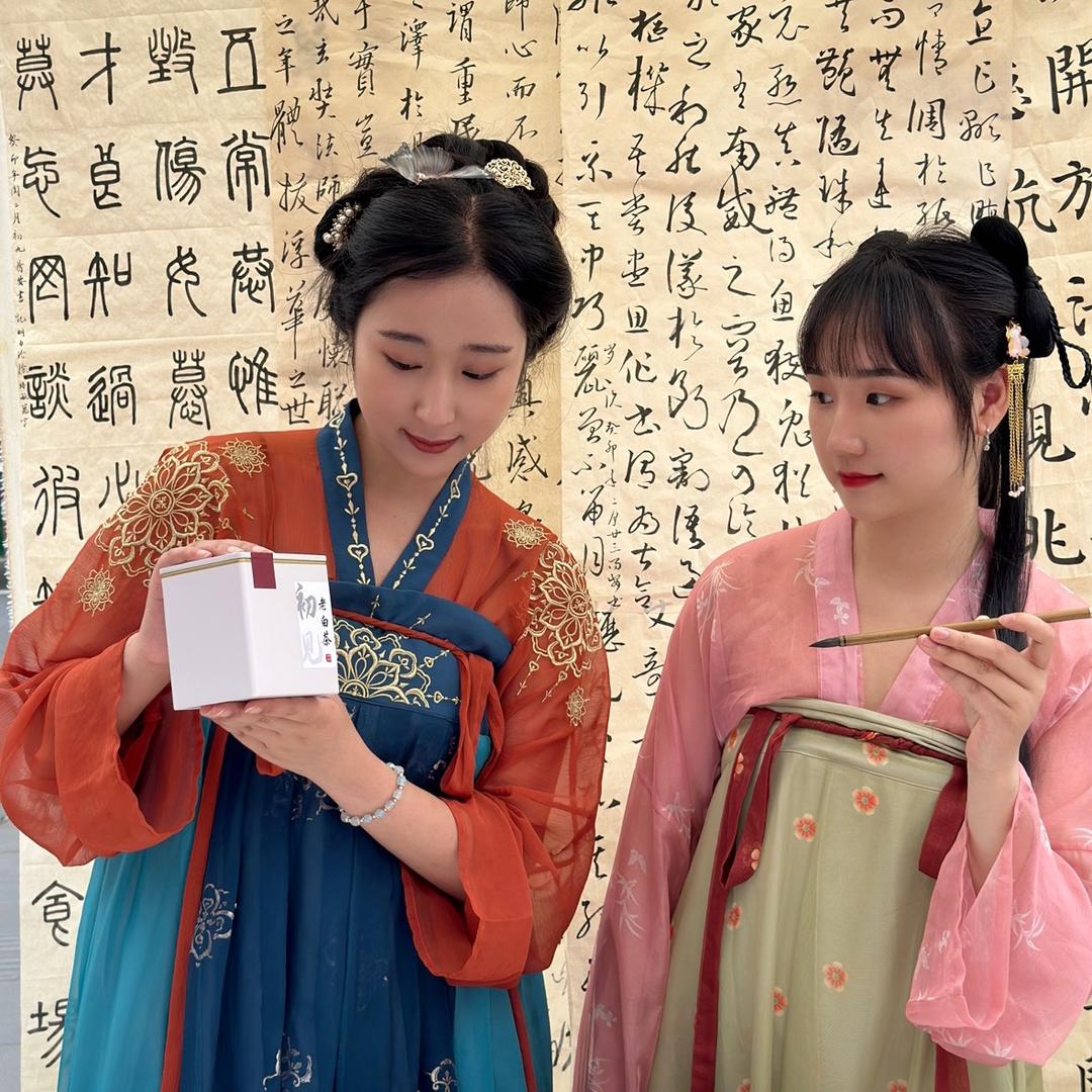 茶香锁二乔
