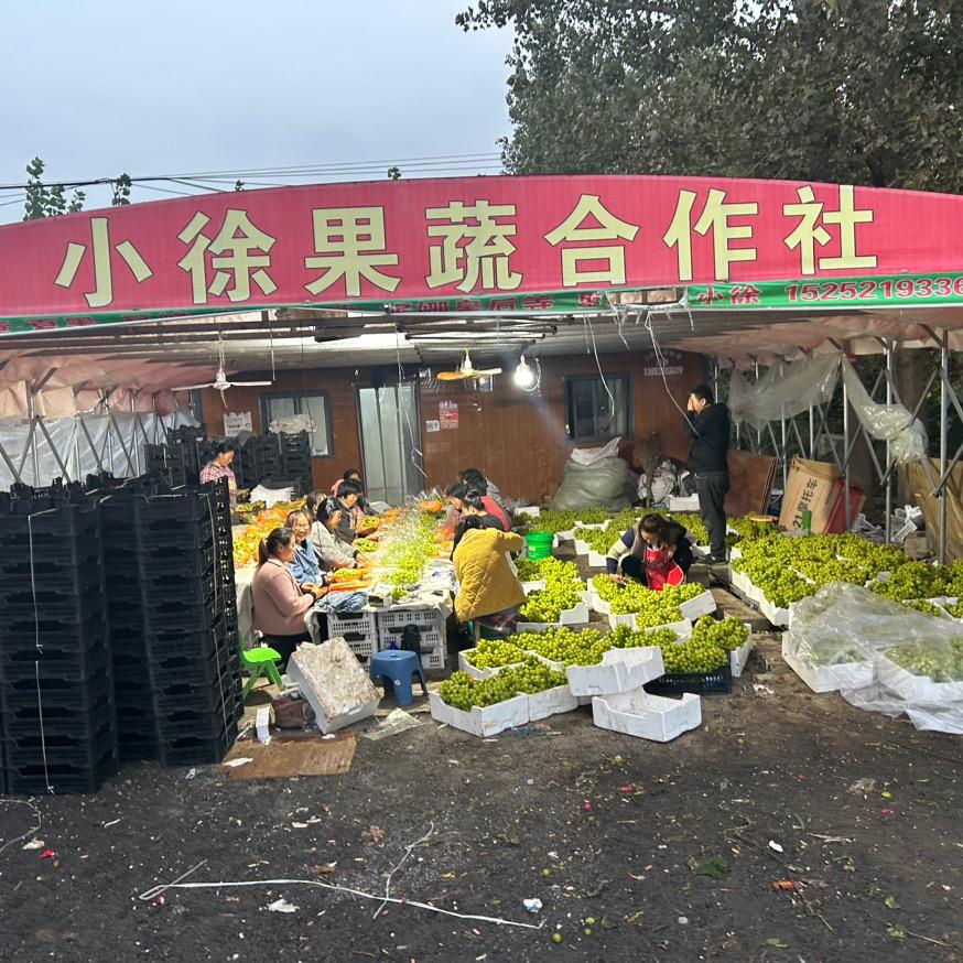 小徐果蔬合作社