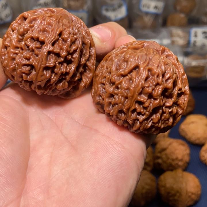 行稳致远  核行天下