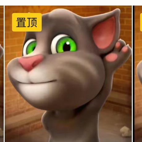 猫二爷🐱