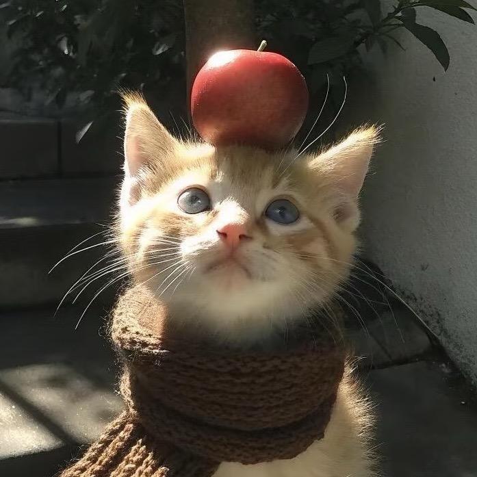 左右