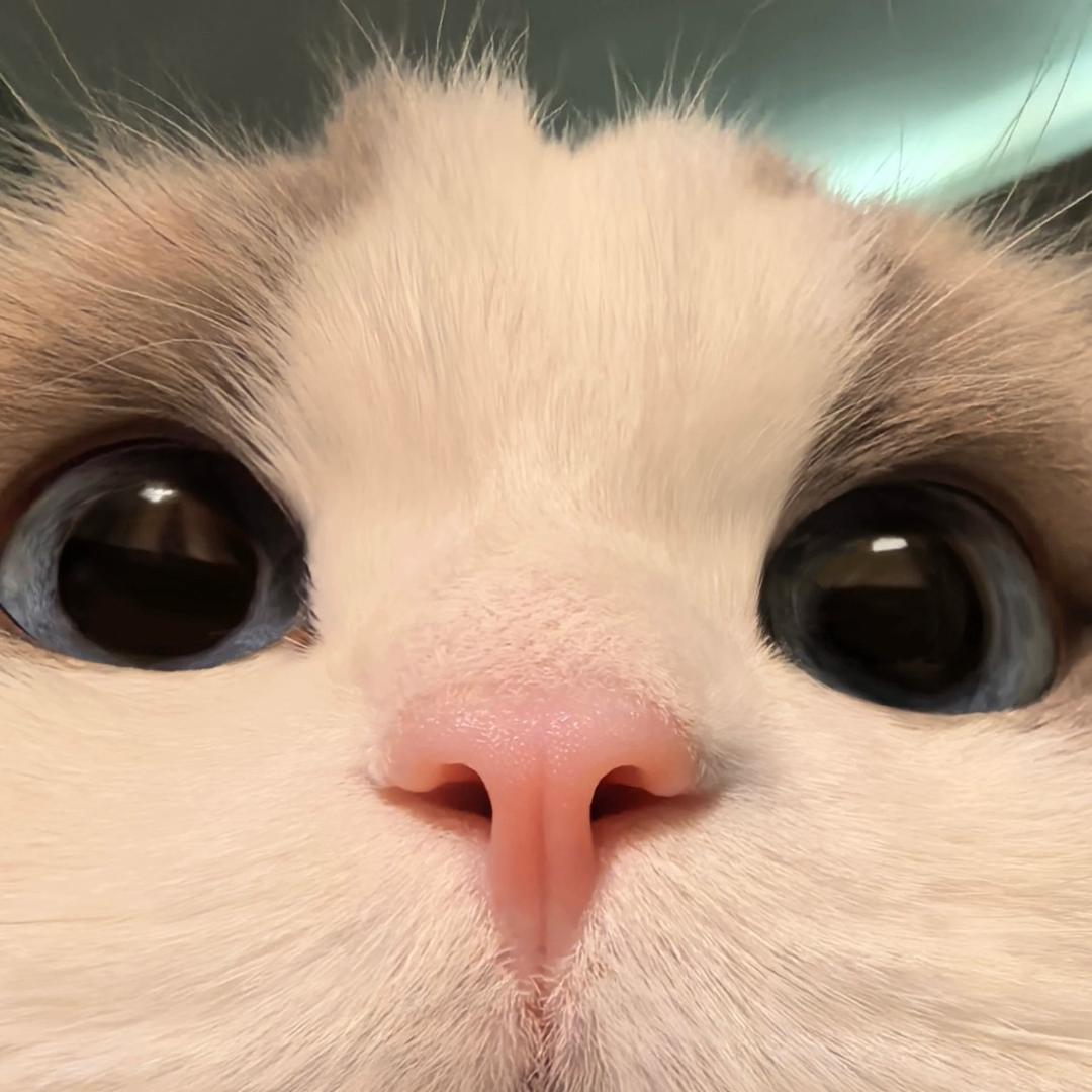 77 ^