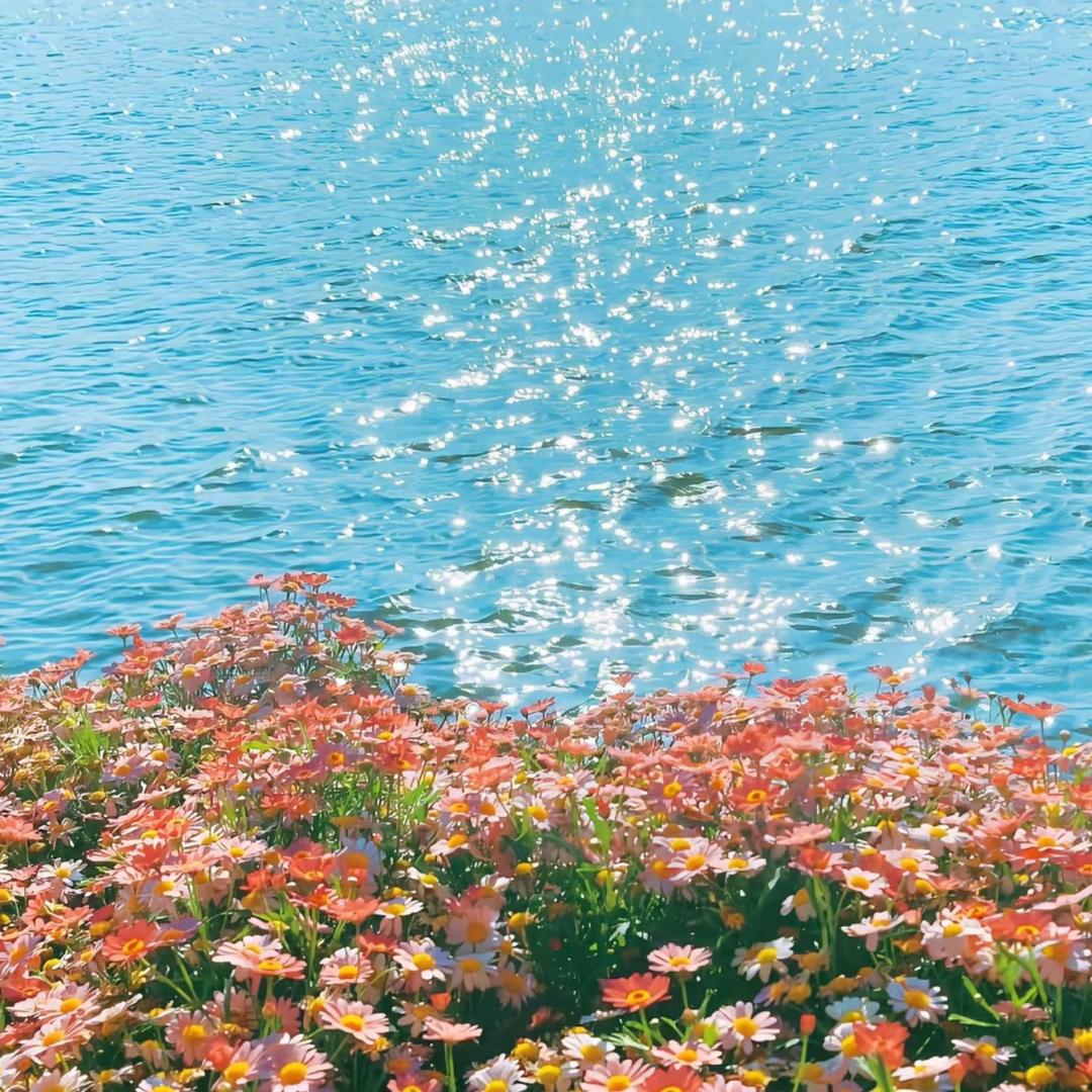时代