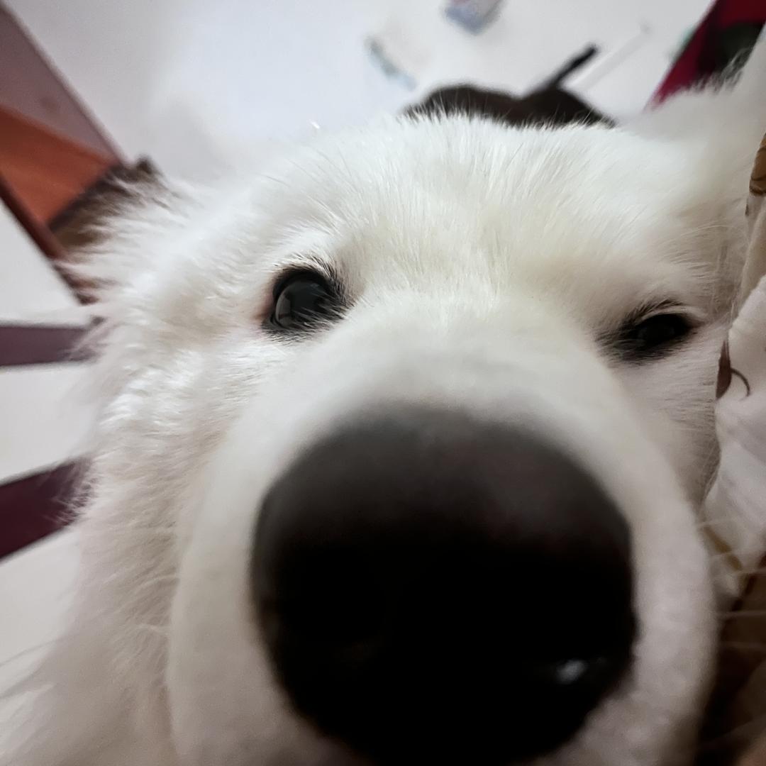 地瓜土豆丝