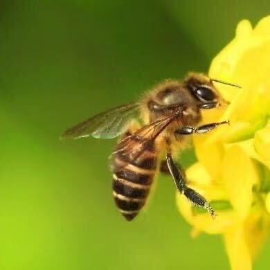 水星家纺(南桥宝龙店)