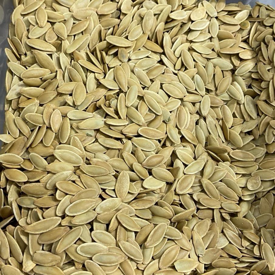 新疆美甲南瓜子批发