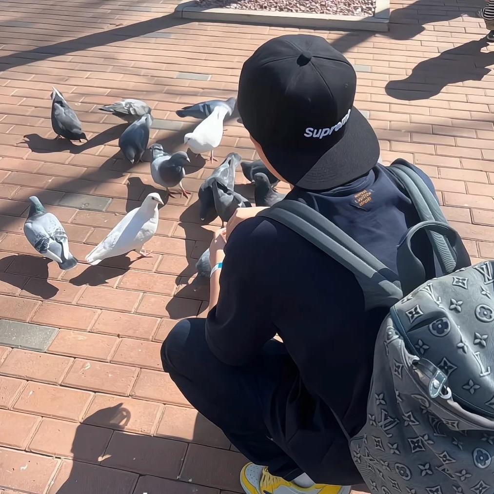 没有所谓🌊